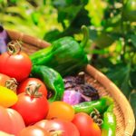 野菜