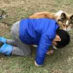 少年と犬