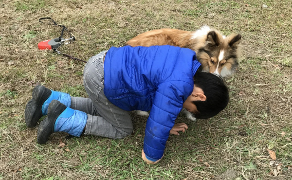 少年と犬