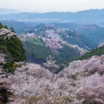 吉野山