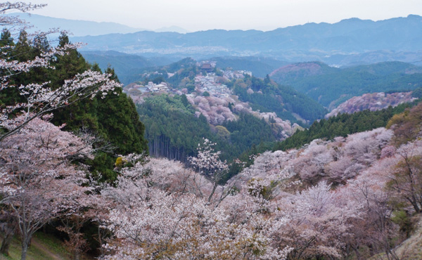 吉野山