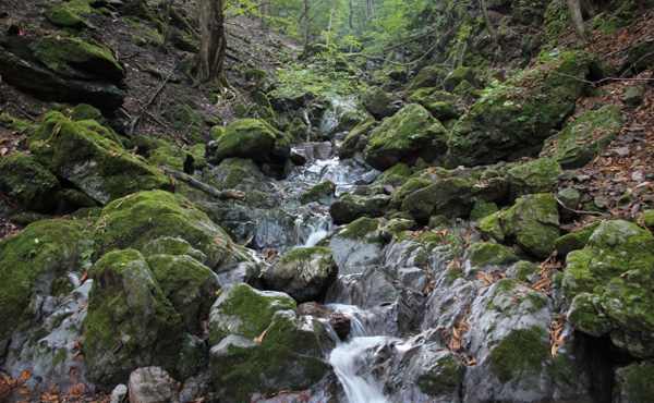 両神山の滝