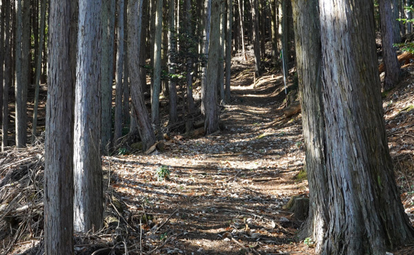 山道